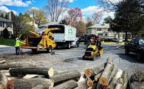 Best Stump Grinding and Removal  in Glasgow, VA